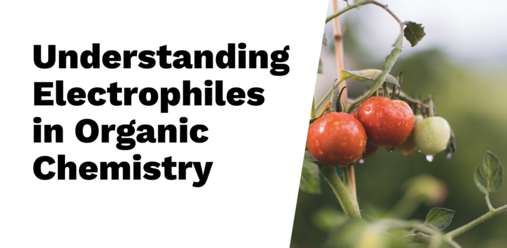 Understanding Electrophiles in Organic Chemistry